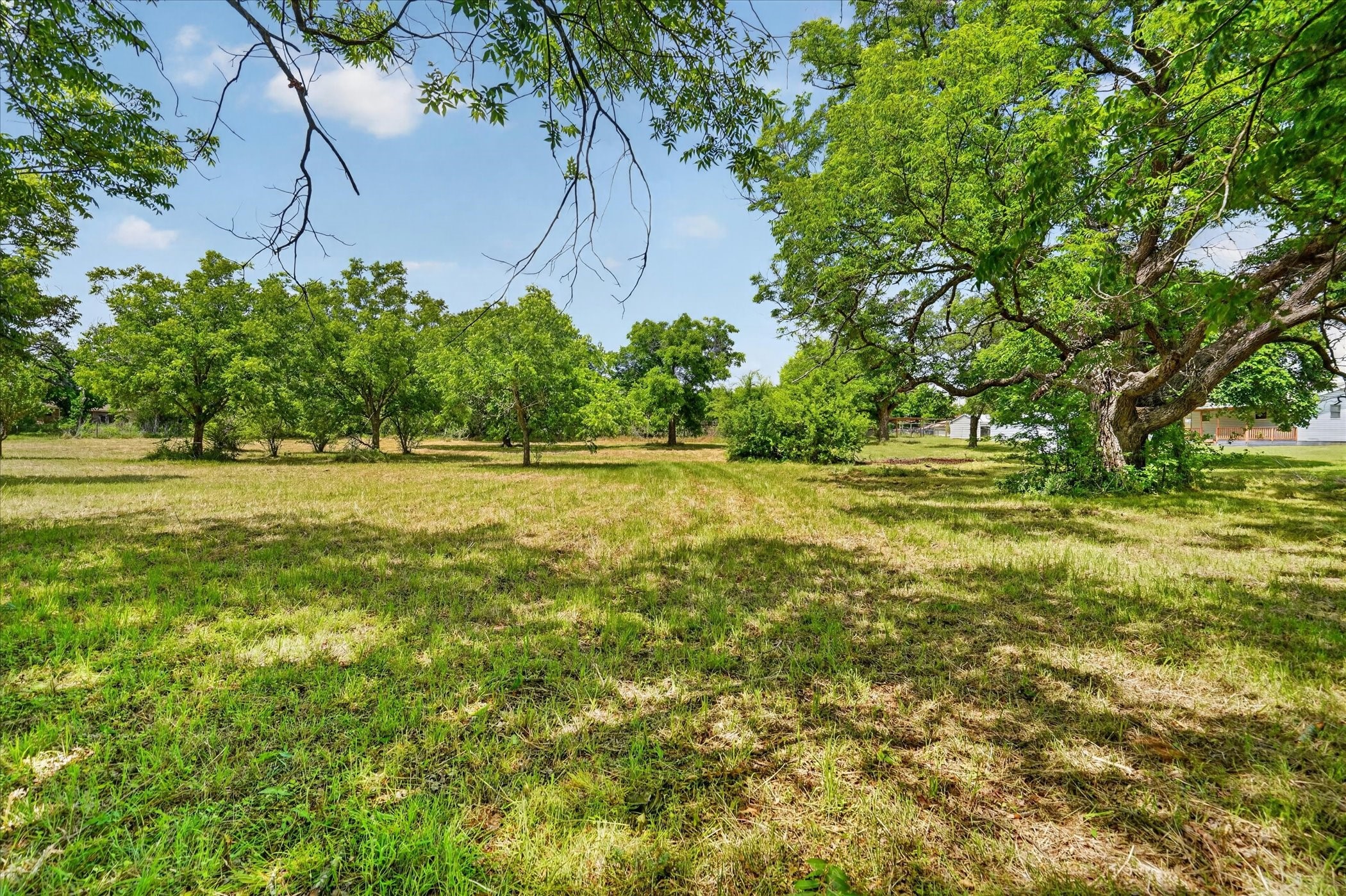 108 Fir Street Keene TX 76059
