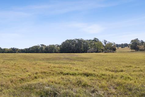 1133 Vz County Road 2413 Canton TX 75103