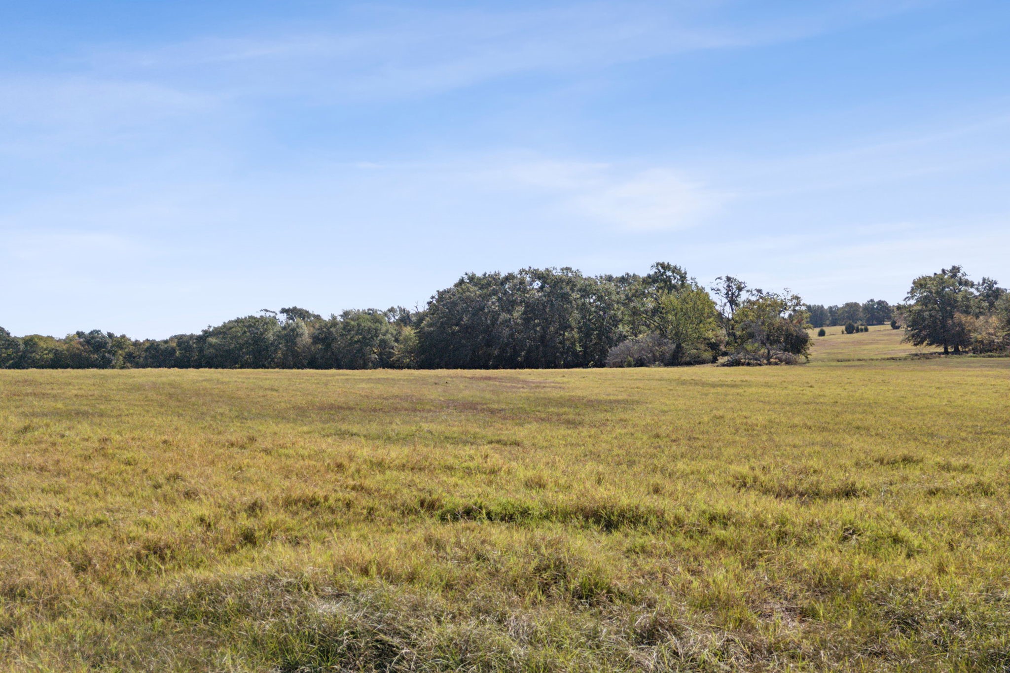 1133 Vz County Road 2413 Canton TX 75103