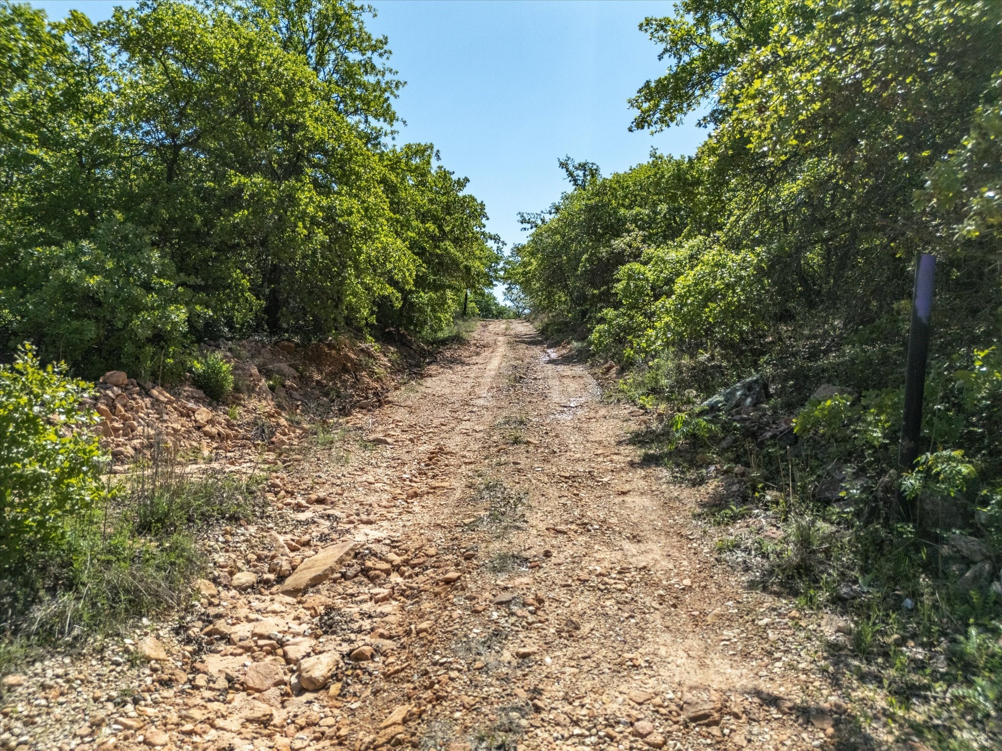 900 Old Spring Road Montague TX 76251