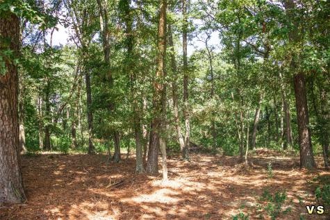 3226 Cr-4660 Winnsboro TX 75494