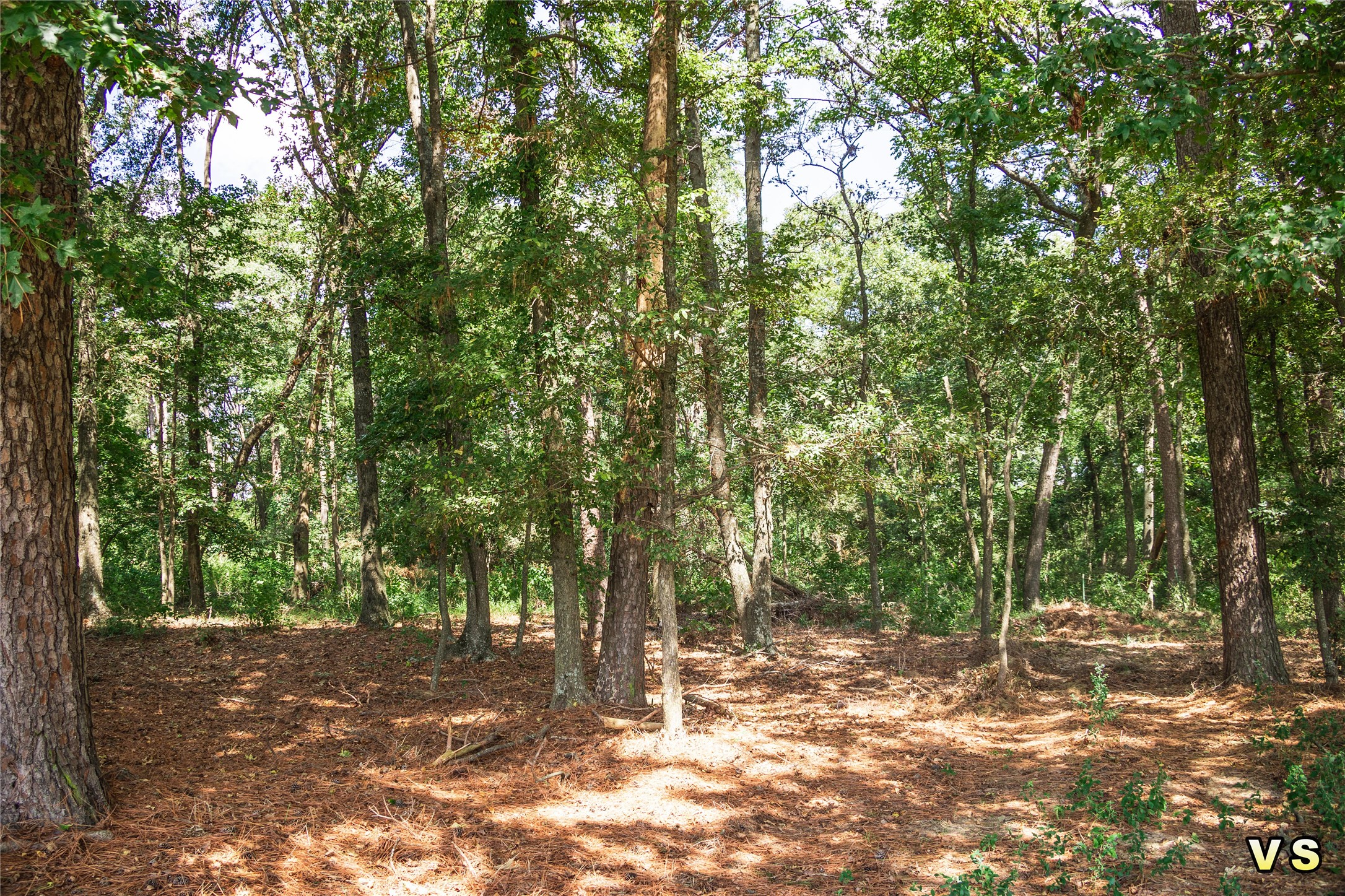3226 Cr-4660 Winnsboro TX 75494