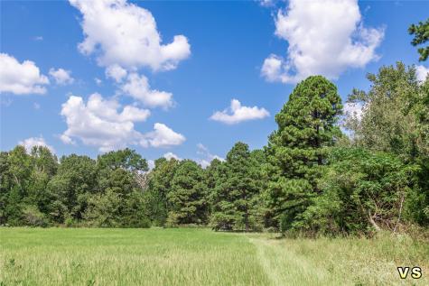 3226 Cr-4660 Winnsboro TX 75494