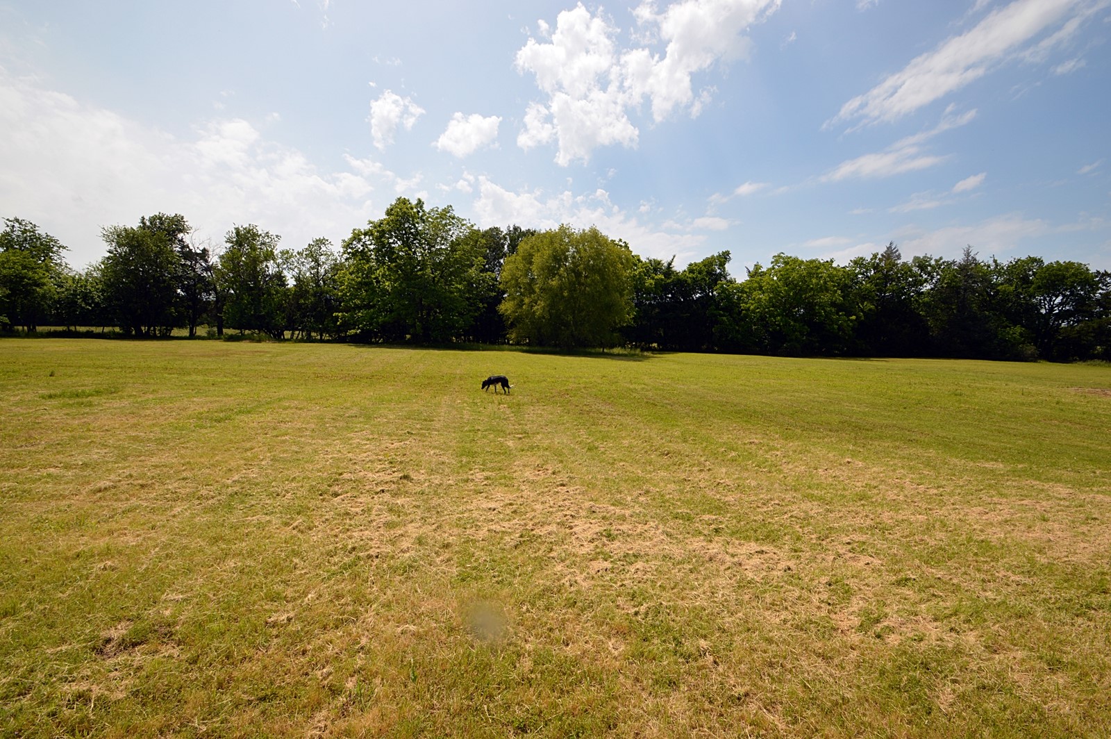 5913 Farm Road 1528 Klondike TX 75448