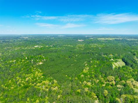 6679 W State Highway 294 Palestine TX 75801