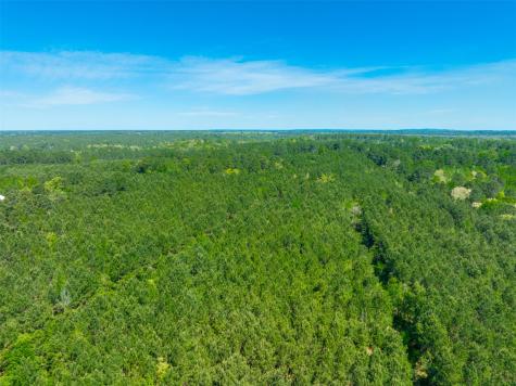 6679 W State Highway 294 Palestine TX 75801