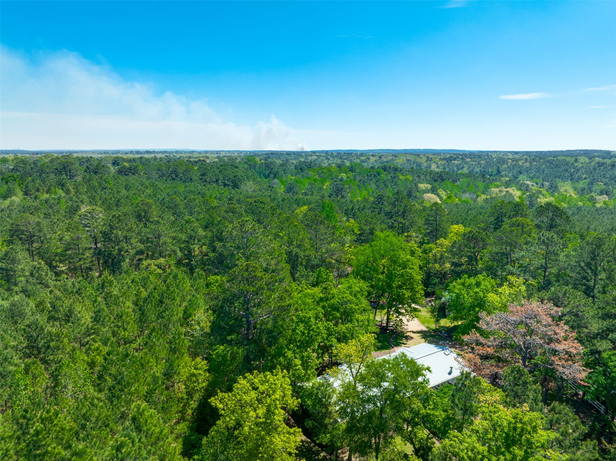 6679 W State Highway 294 Palestine TX 75801