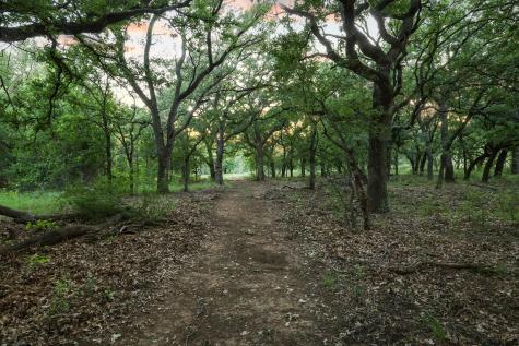 435 Timber Ridge Lake Road Graham TX 76450