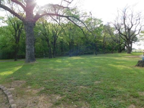 4140 County Road 3230 Mineola TX 75783