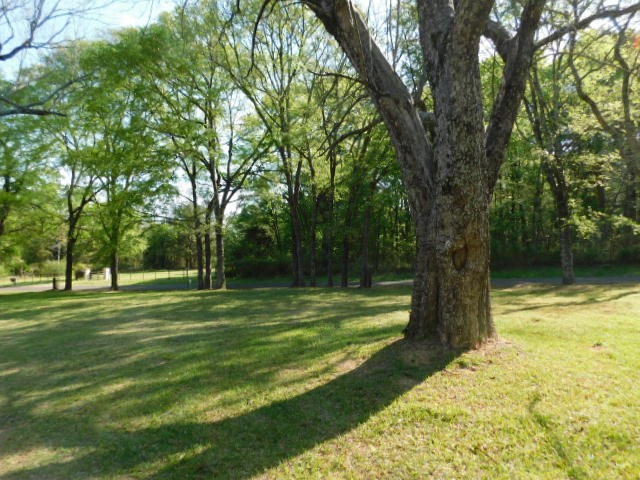 4140 County Road 3230 Mineola TX 75783