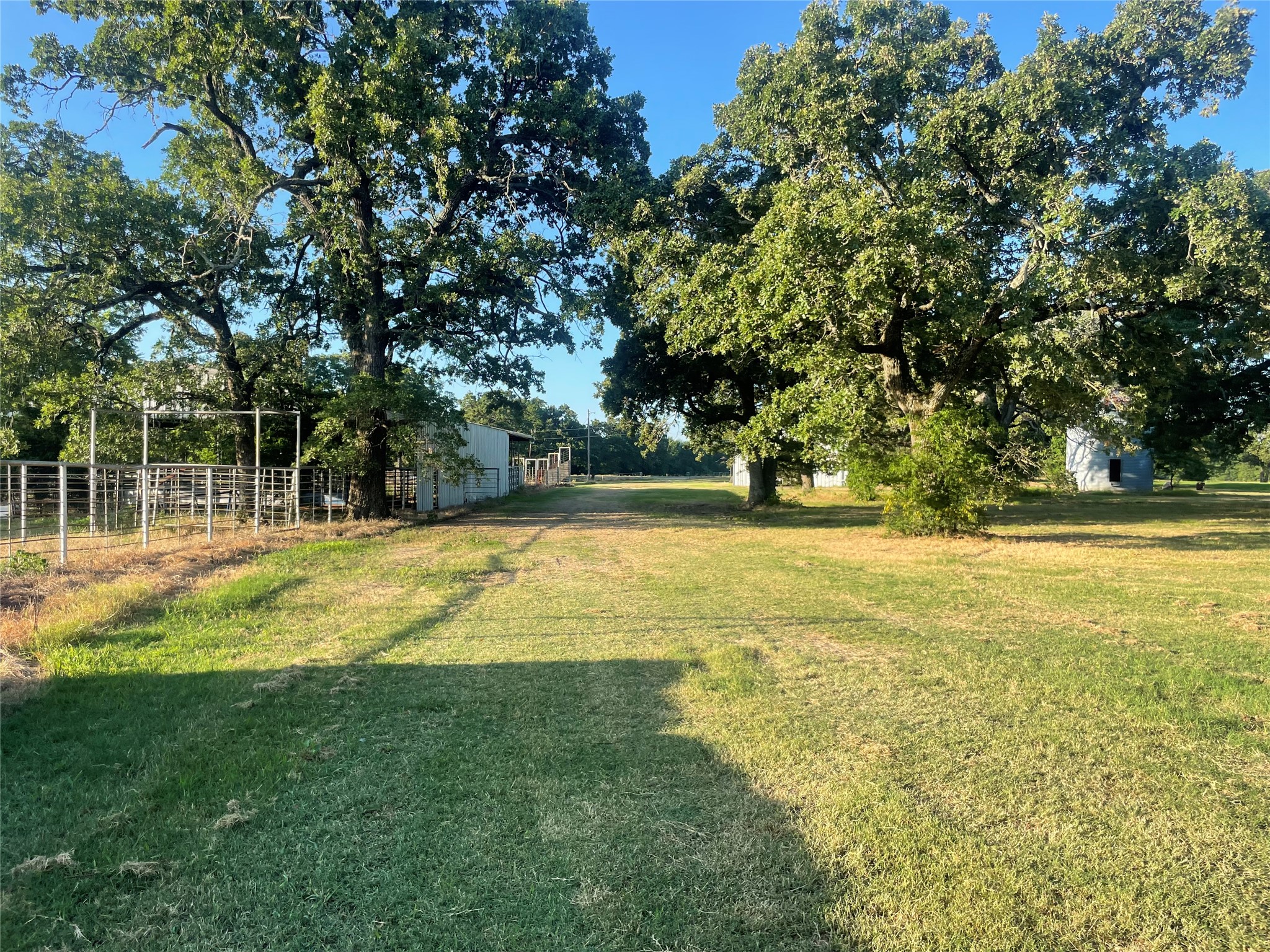 2031 E Fm 1396 Ivanhoe TX 75447