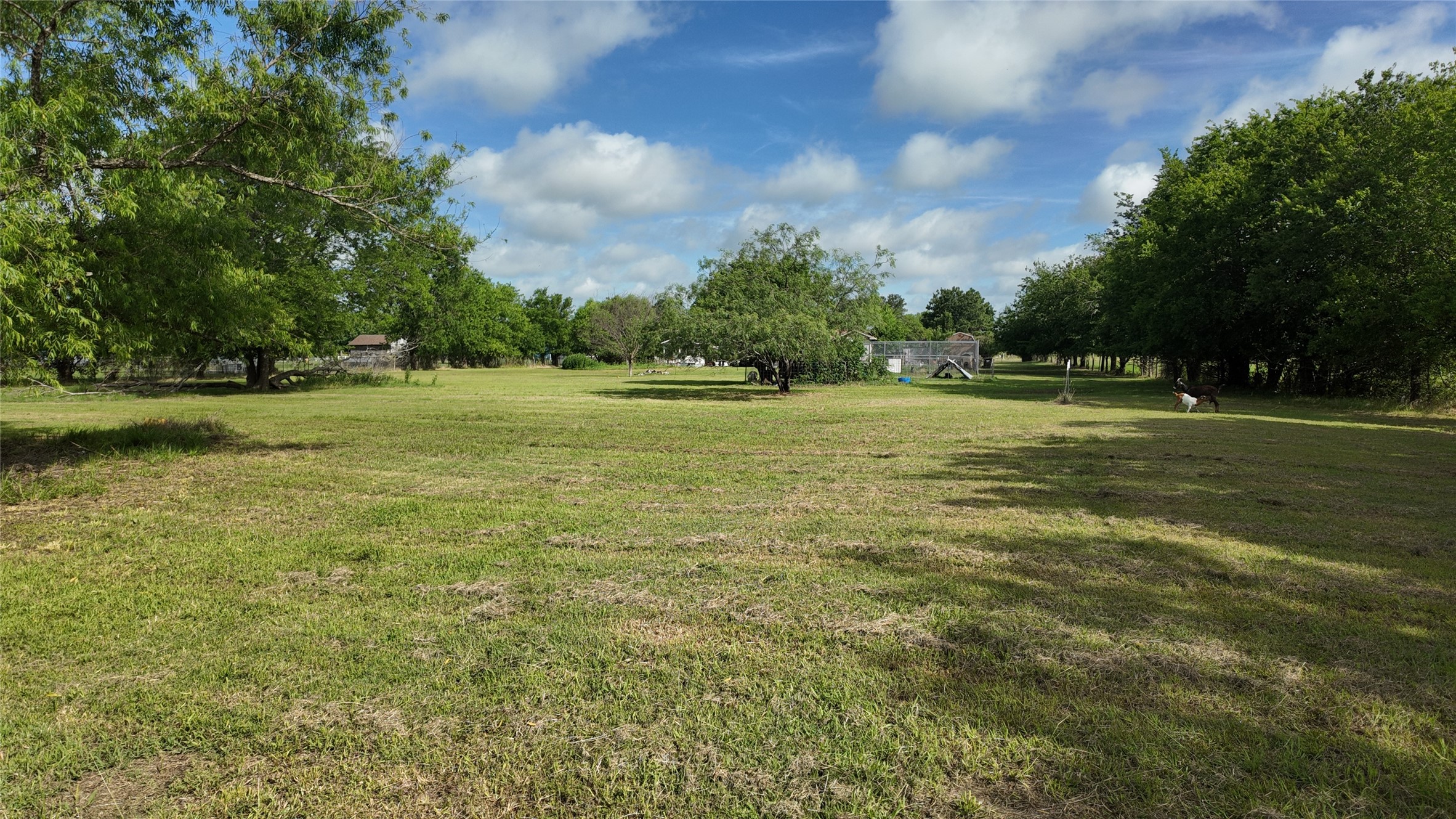 6709 Sue Ann Lane Terrell TX 75161