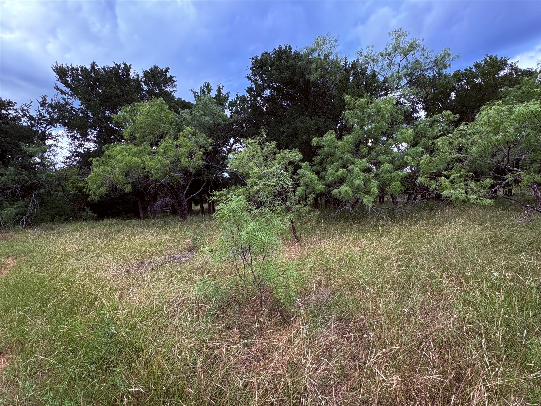 1117 N Tiffin Road Ranger TX 76470