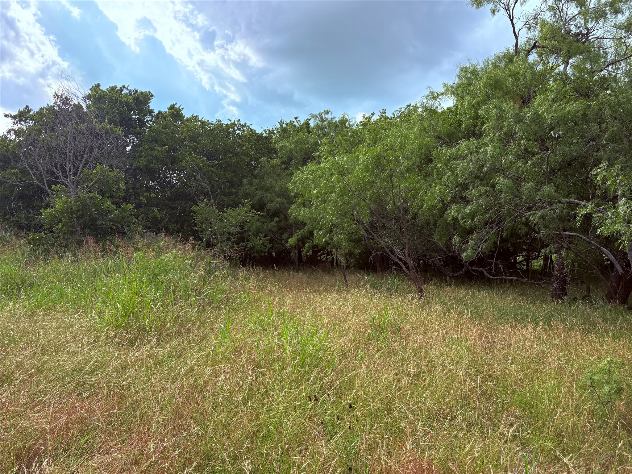 1117 N Tiffin Road Ranger TX 76470