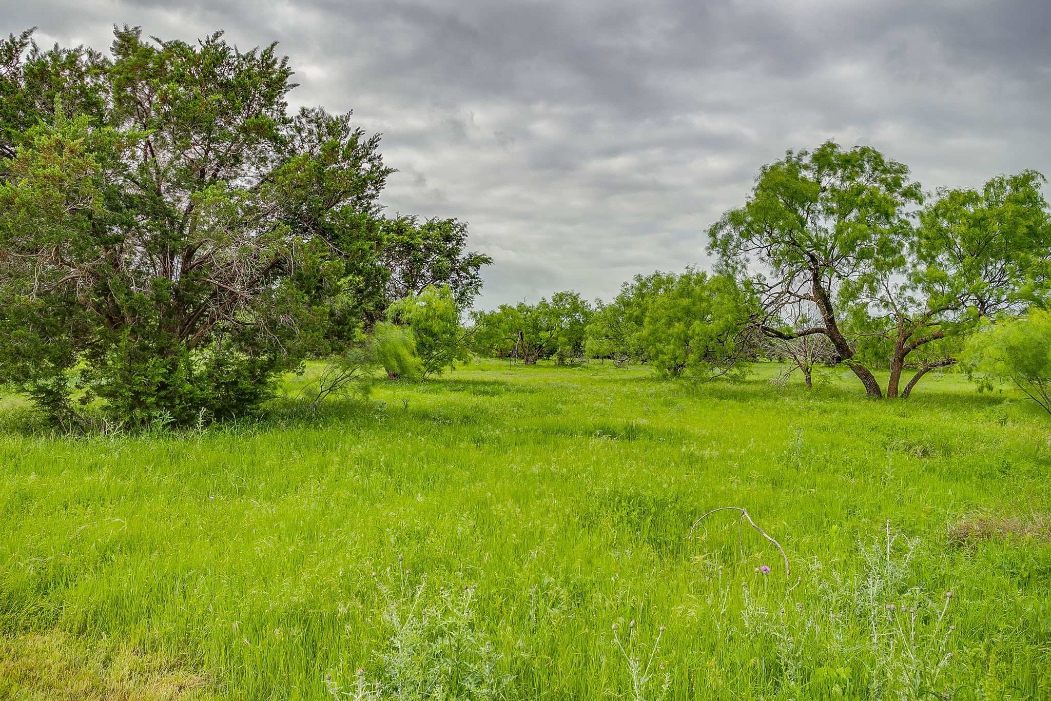 13450 Sh 254 Graford TX 76449