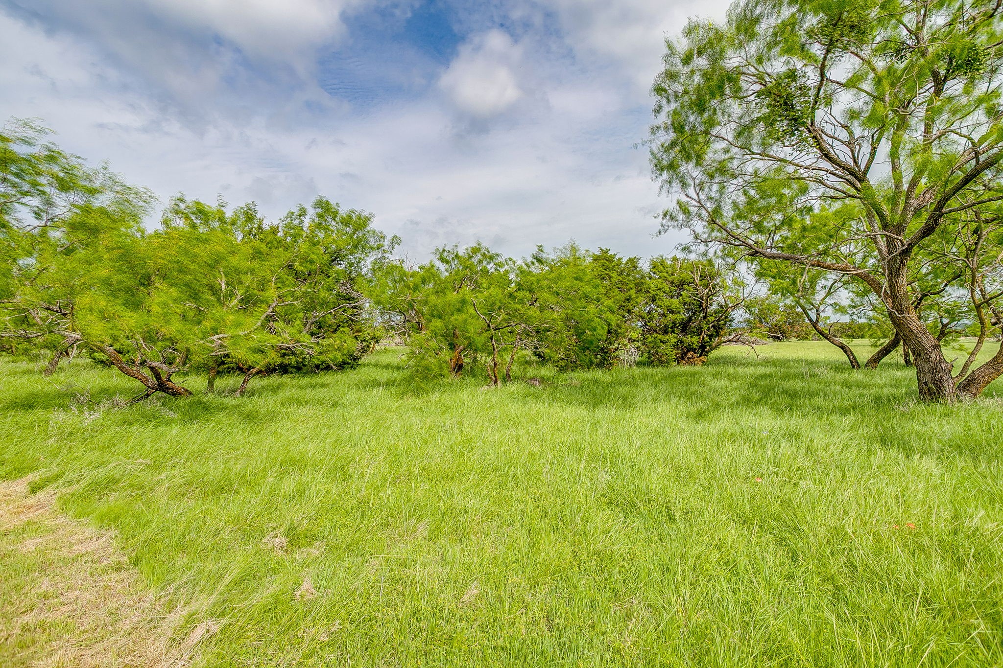 13450 Sh 254 Graford TX 76449