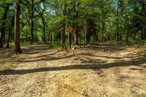 6060 Pinnacle Club Drive Mabank TX 75156