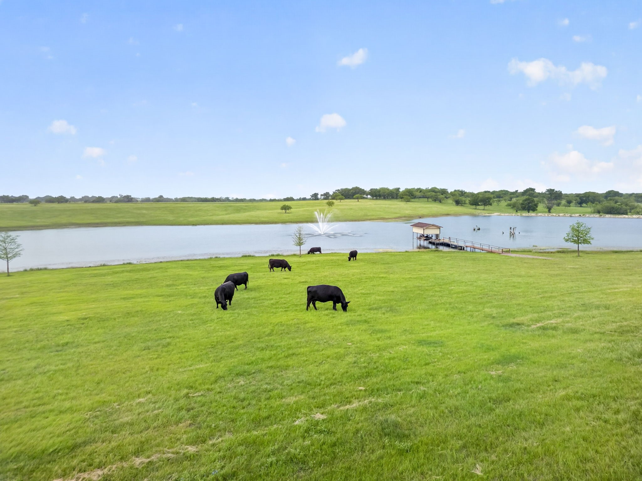 501 Alsdorf Road Ennis TX 75119