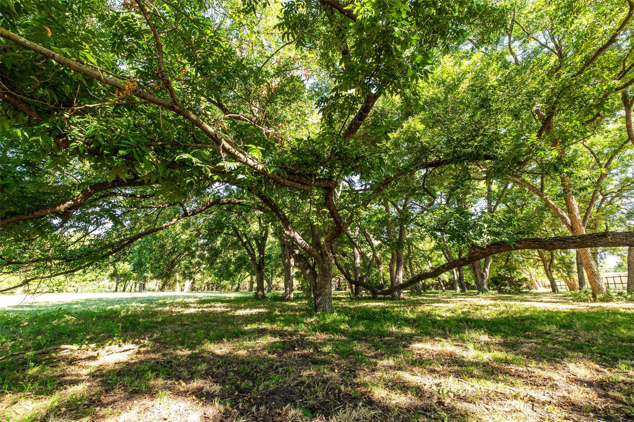 3826 Dexham Road Rowlett TX 75088