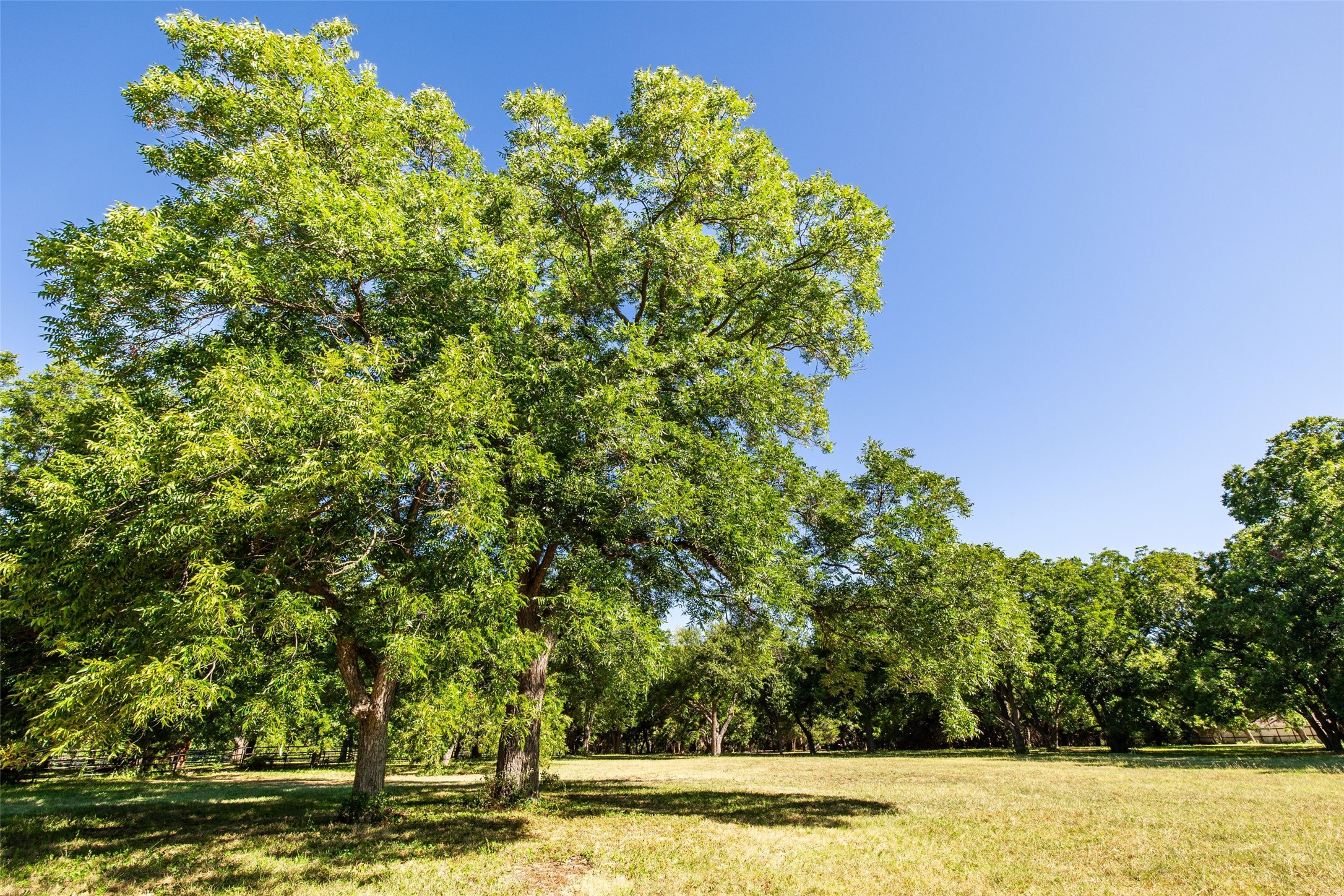 3826 Dexham Road Rowlett TX 75088