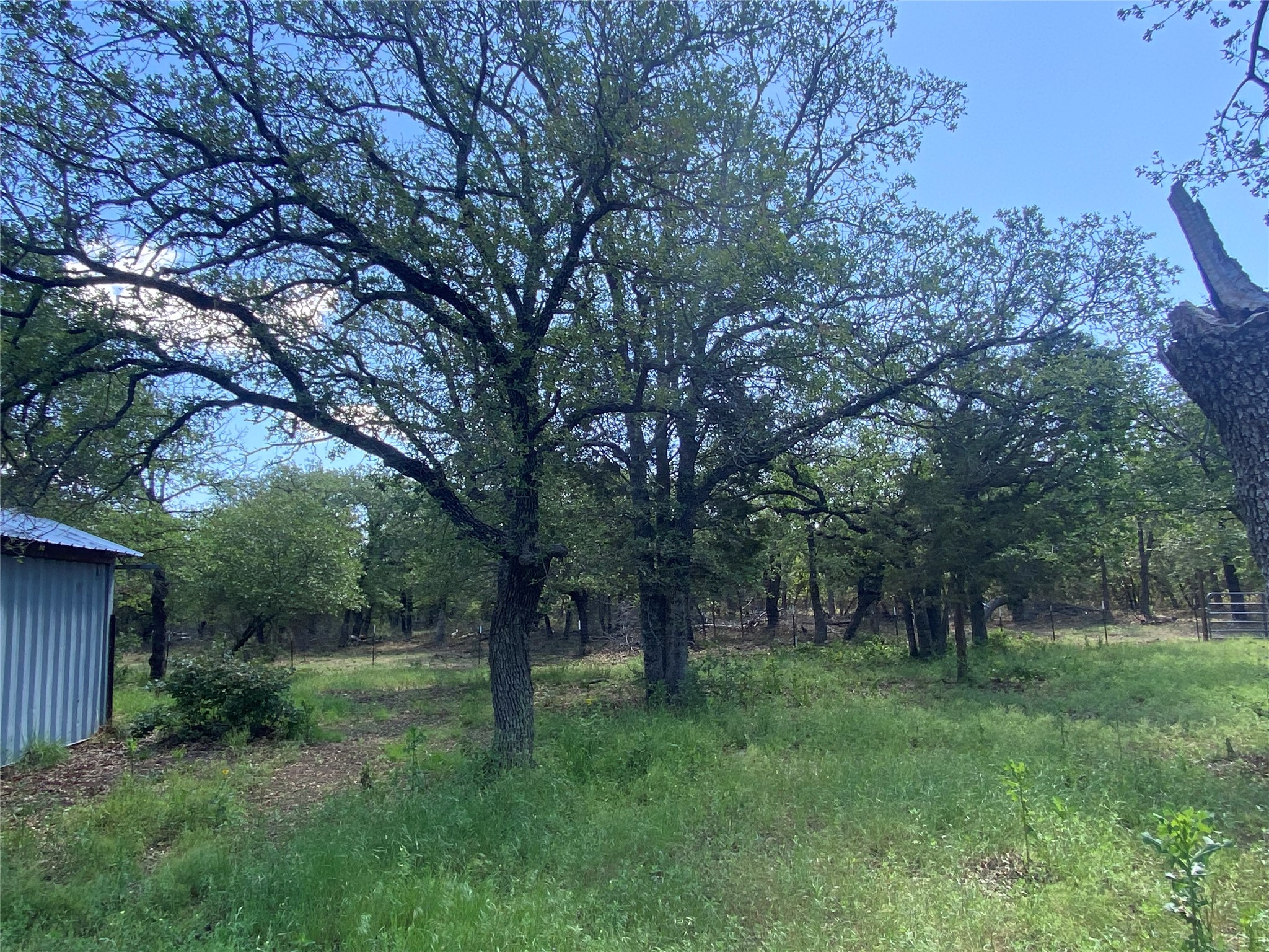 17978 Cr 445 Cross Plains TX 76443