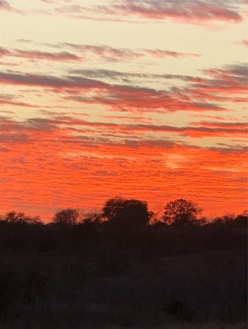 17978 Cr 445 Cross Plains TX 76443