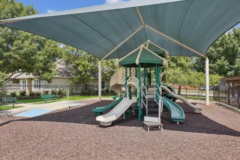 9745 Water Tree Drive Mckinney TX 75072