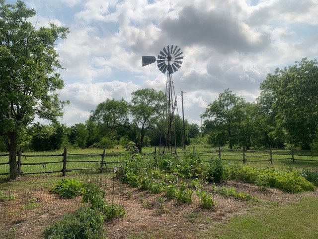 1695 Fm 2823 Carlton TX 76436