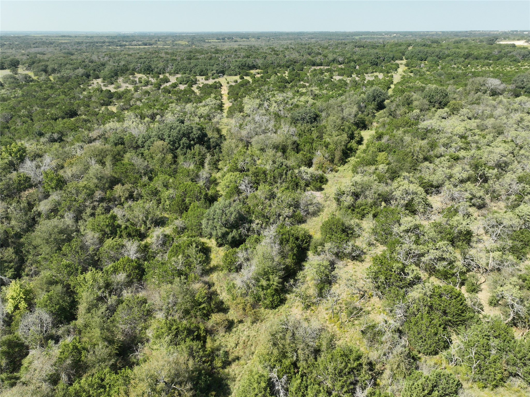 1695 Fm 2823 Carlton TX 76436