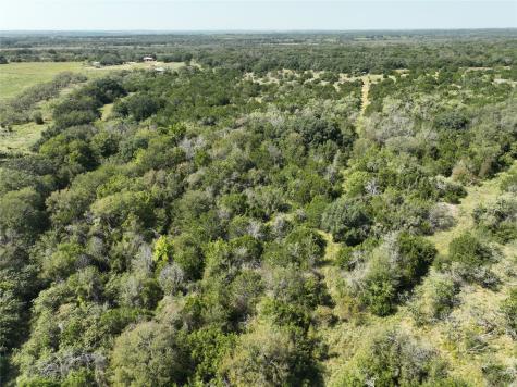 1695 Fm 2823 Carlton TX 76436