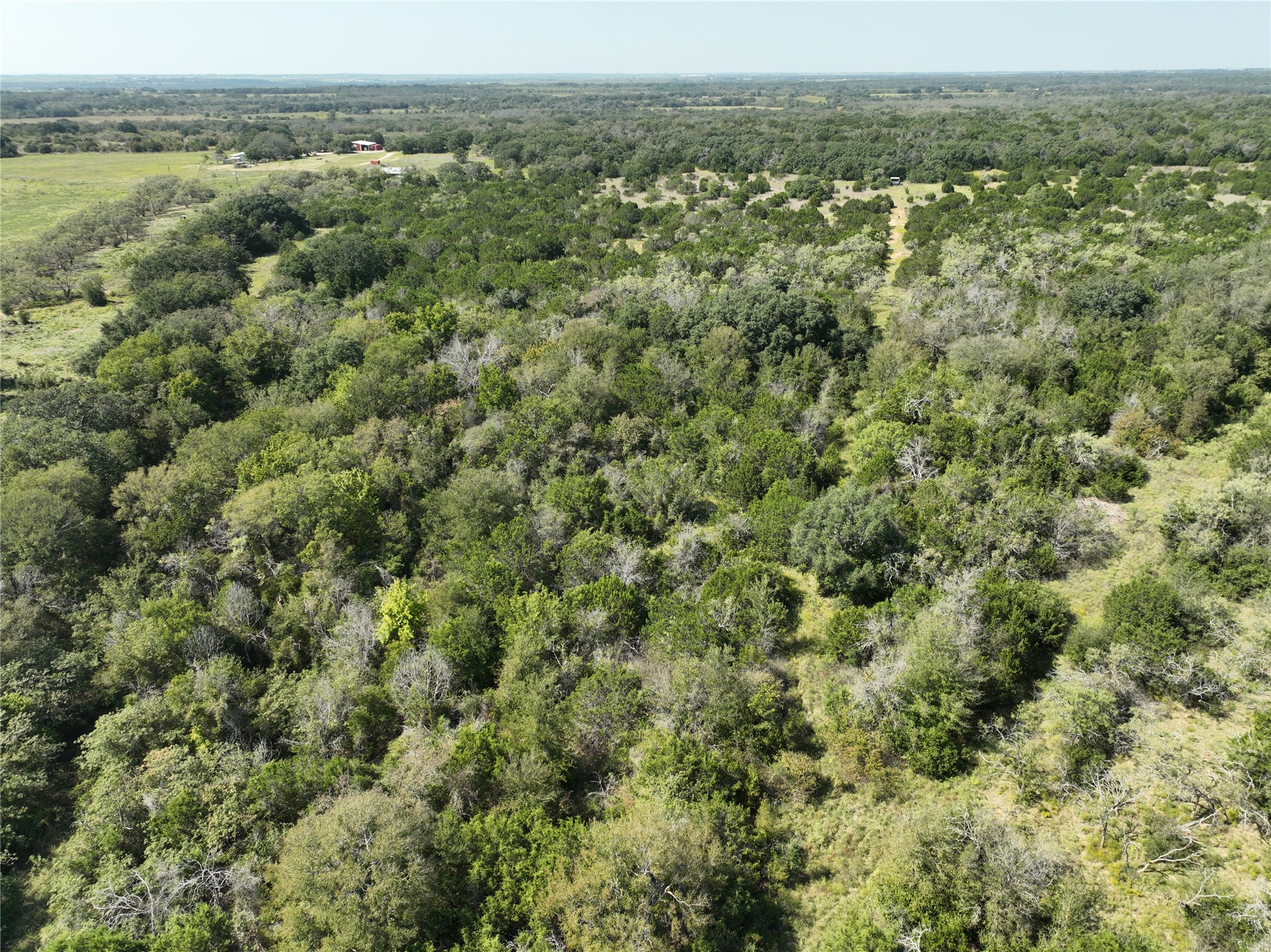 1695 Fm 2823 Carlton TX 76436