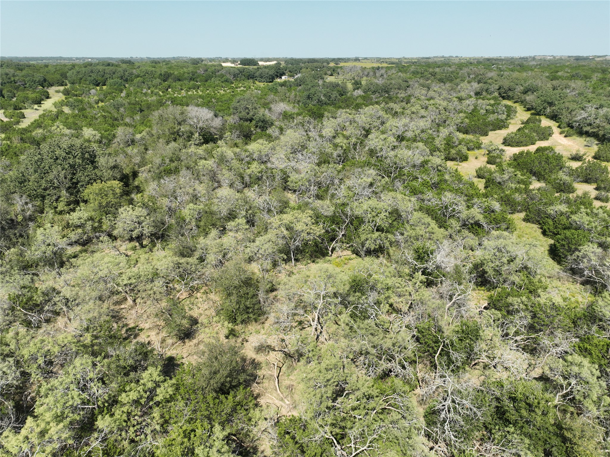 1695 Fm 2823 Carlton TX 76436