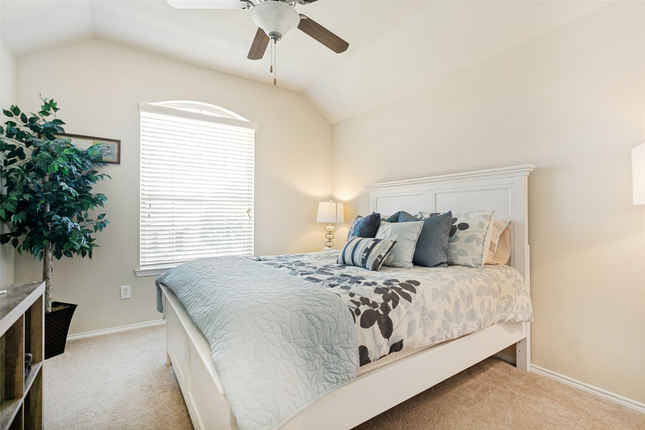 9120 Wayne Street Cross Roads TX 76227