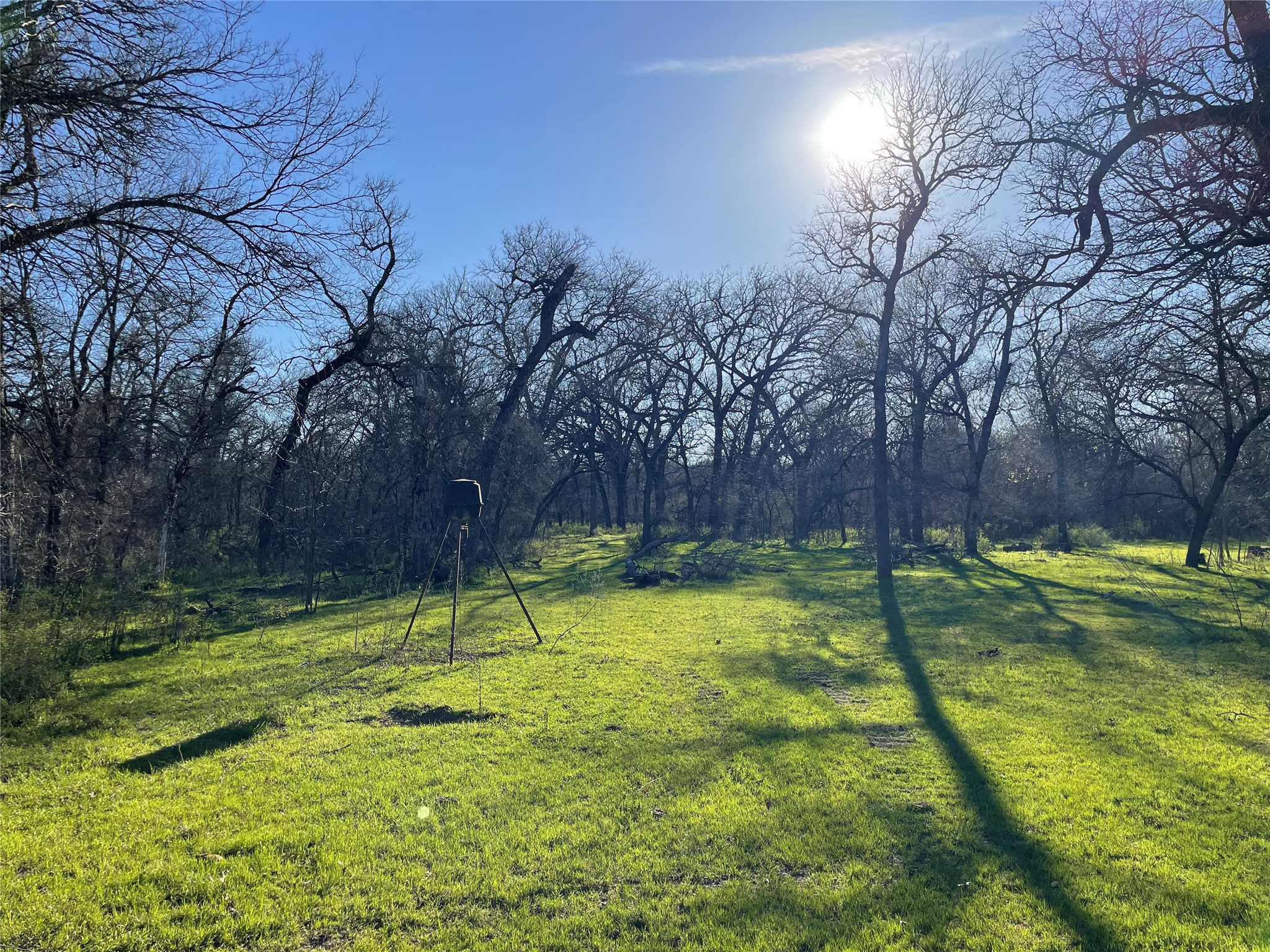 3141 Rogers Road Jacksboro TX 76458