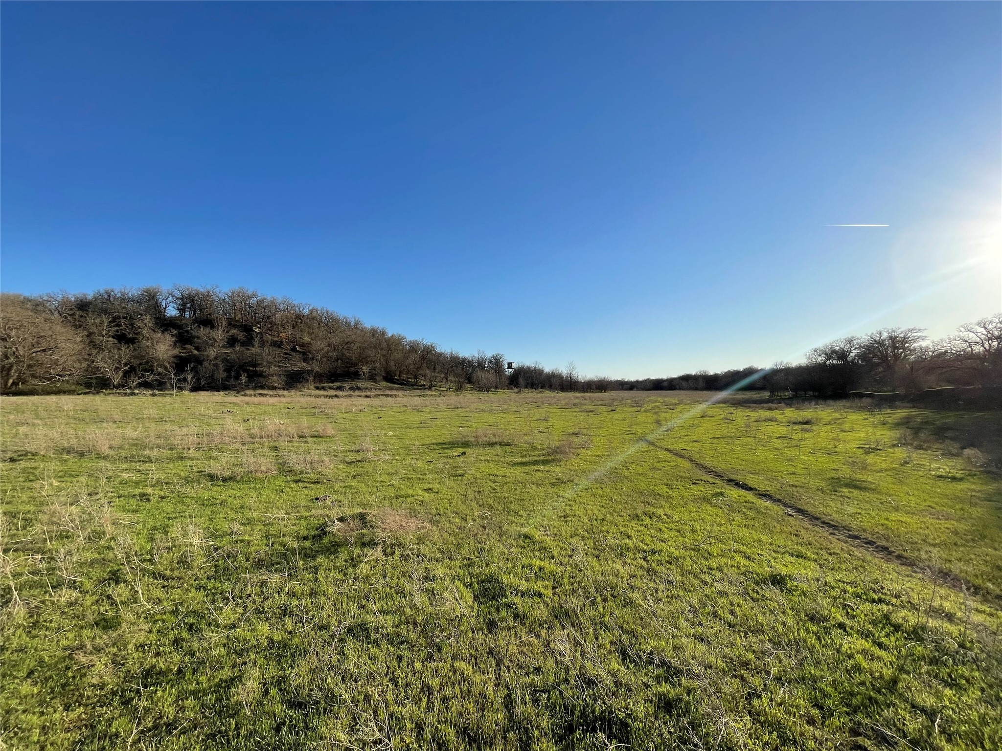 3141 Rogers Road Jacksboro TX 76458