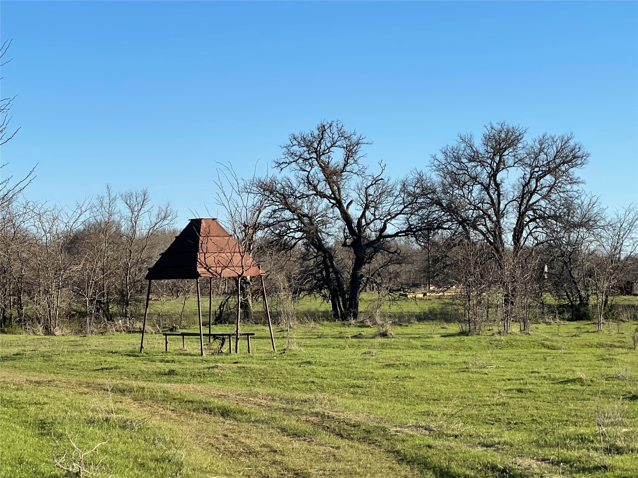 3141 Rogers Road Jacksboro TX 76458