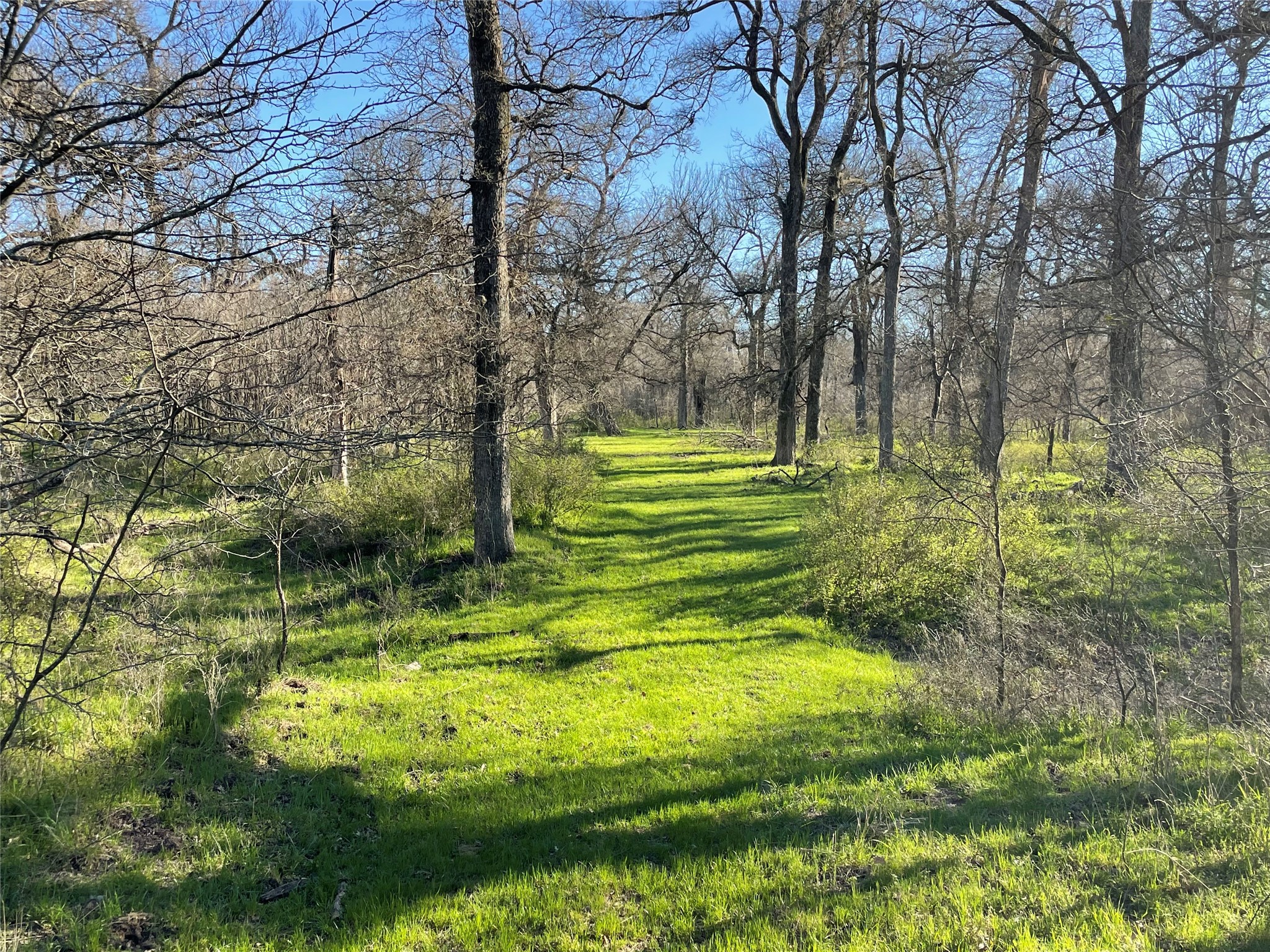 3141 Rogers Road Jacksboro TX 76458