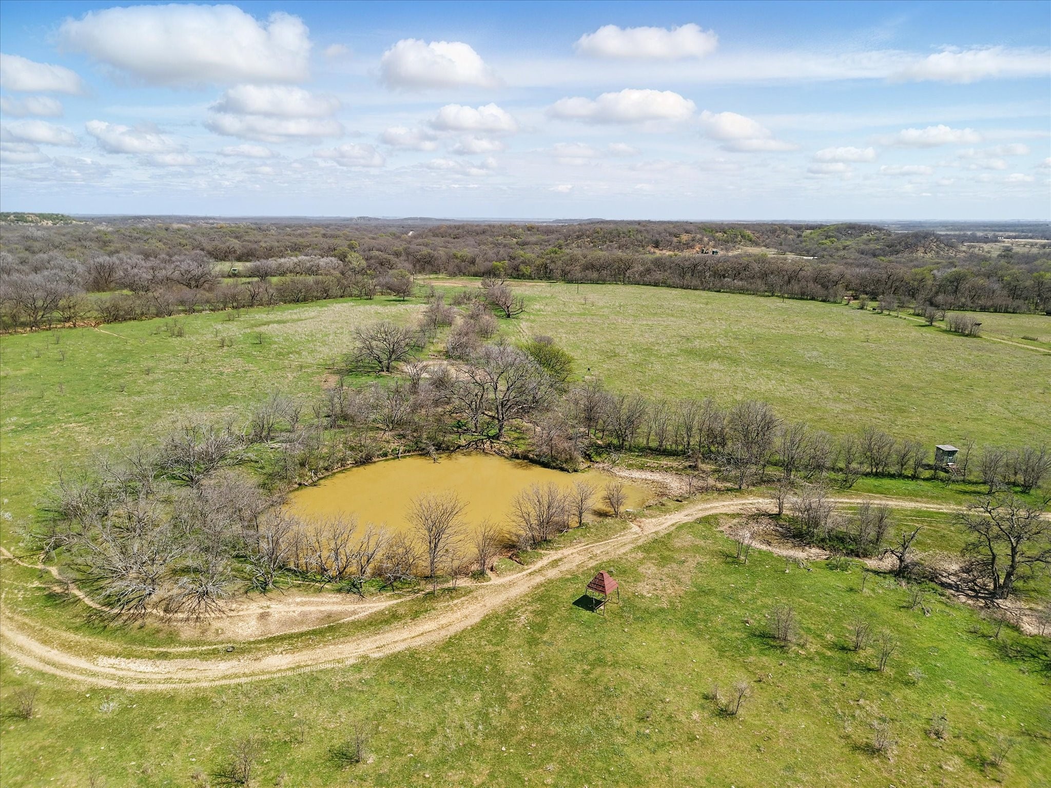 3141 Rogers Road Jacksboro TX 76458
