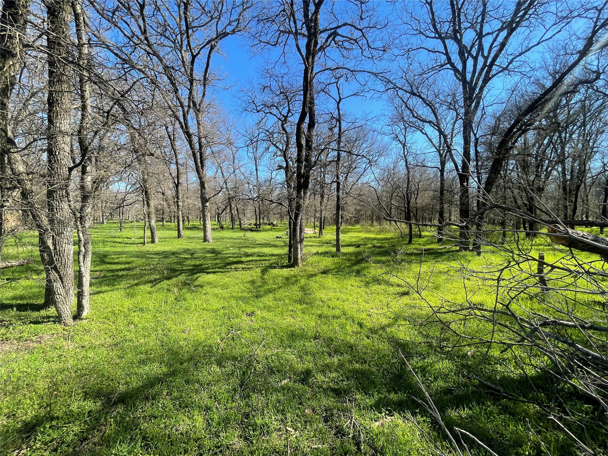 3141 Rogers Road Jacksboro TX 76458