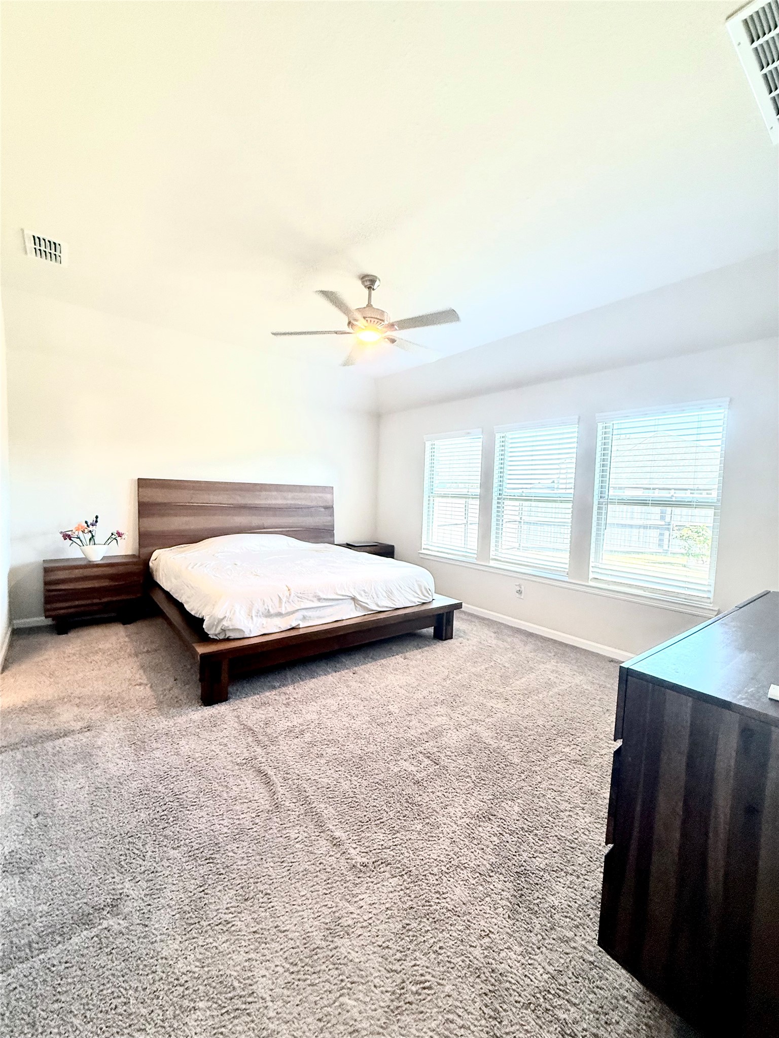 6718 Goldenrain Drive Venus TX 76084