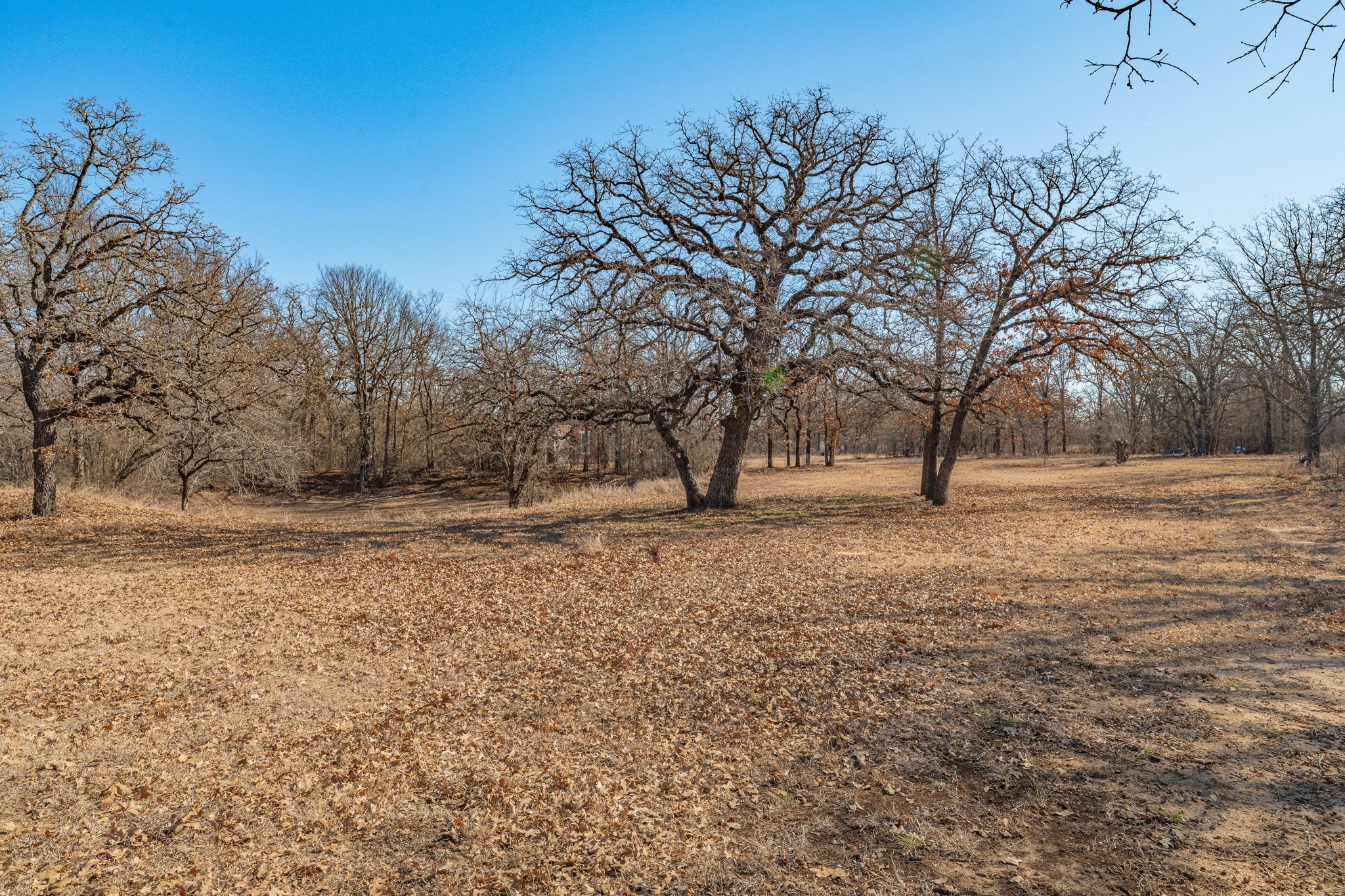 650 County Road 426 De Leon TX 76444
