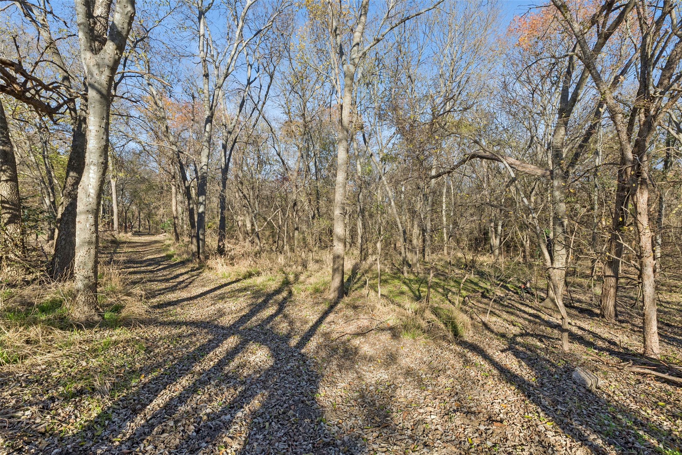 3580 Orr Road Fairview TX 75002