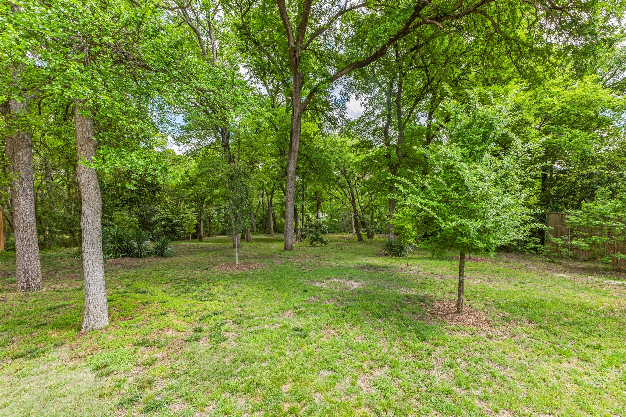 9576 Ash Creek Drive Dallas TX 75228