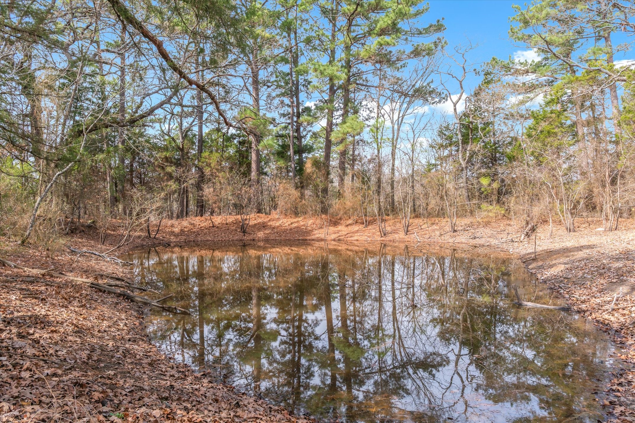 8844 State Highway 19 N Athens TX 75752