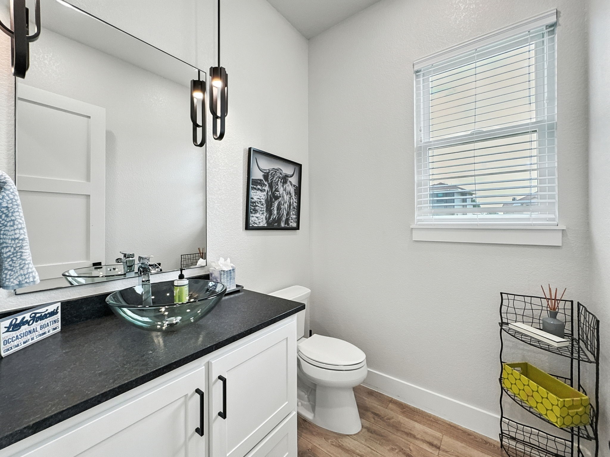 3007 Shoreside Point Graford TX 76449