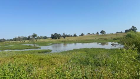 768 County Road 2220 Talco TX 75487