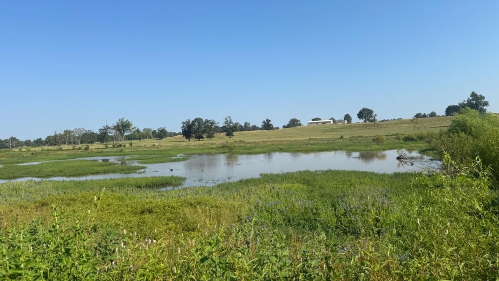 768 County Road 2220 Talco TX 75487