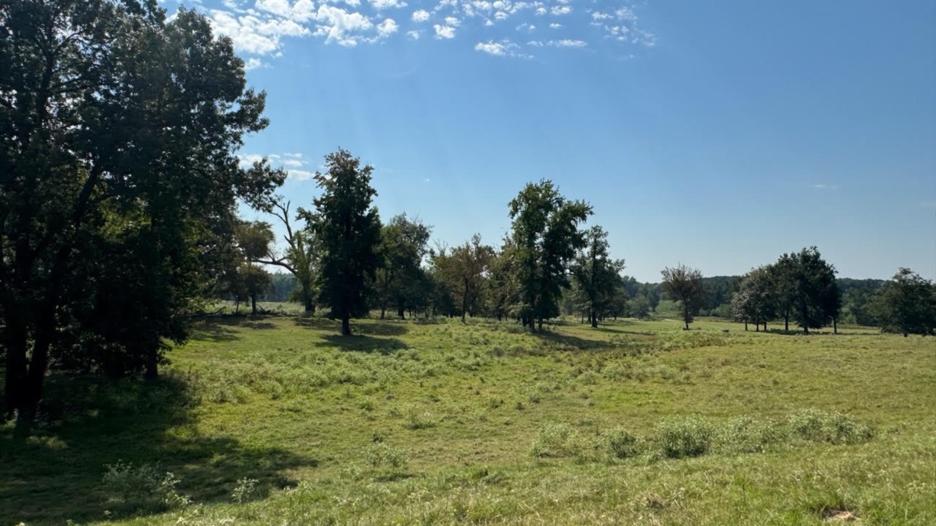 768 County Road 2220 Talco TX 75487