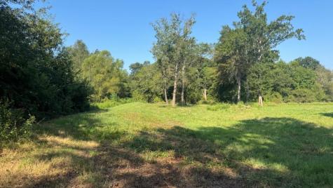 768 County Road 2220 Talco TX 75487