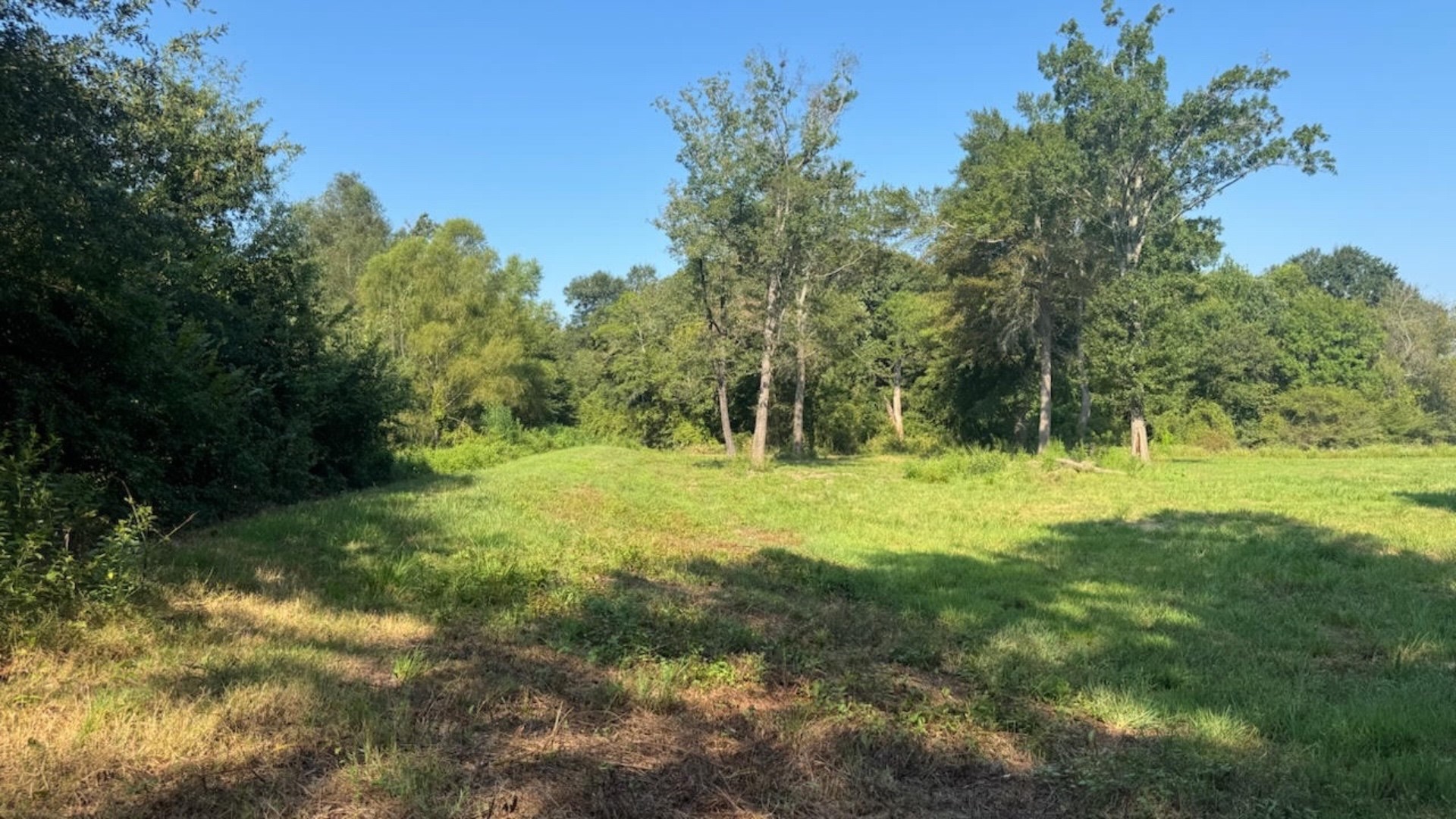 768 County Road 2220 Talco TX 75487
